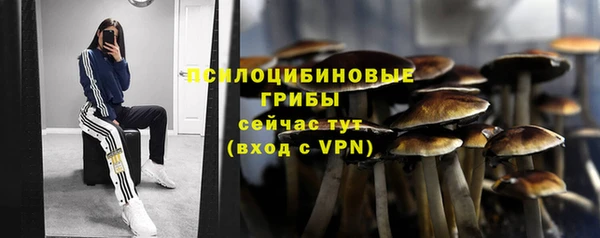 бошки Саяногорск